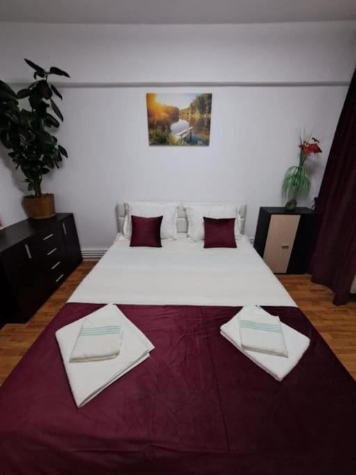 Garsoniera Flori - Sinaia Appartement Buitenkant foto