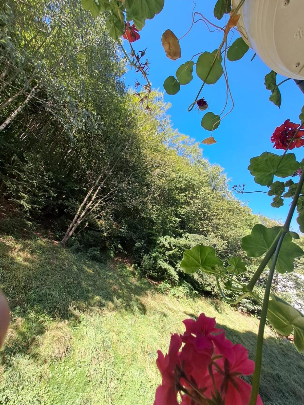 Garsoniera Flori - Sinaia Appartement Buitenkant foto