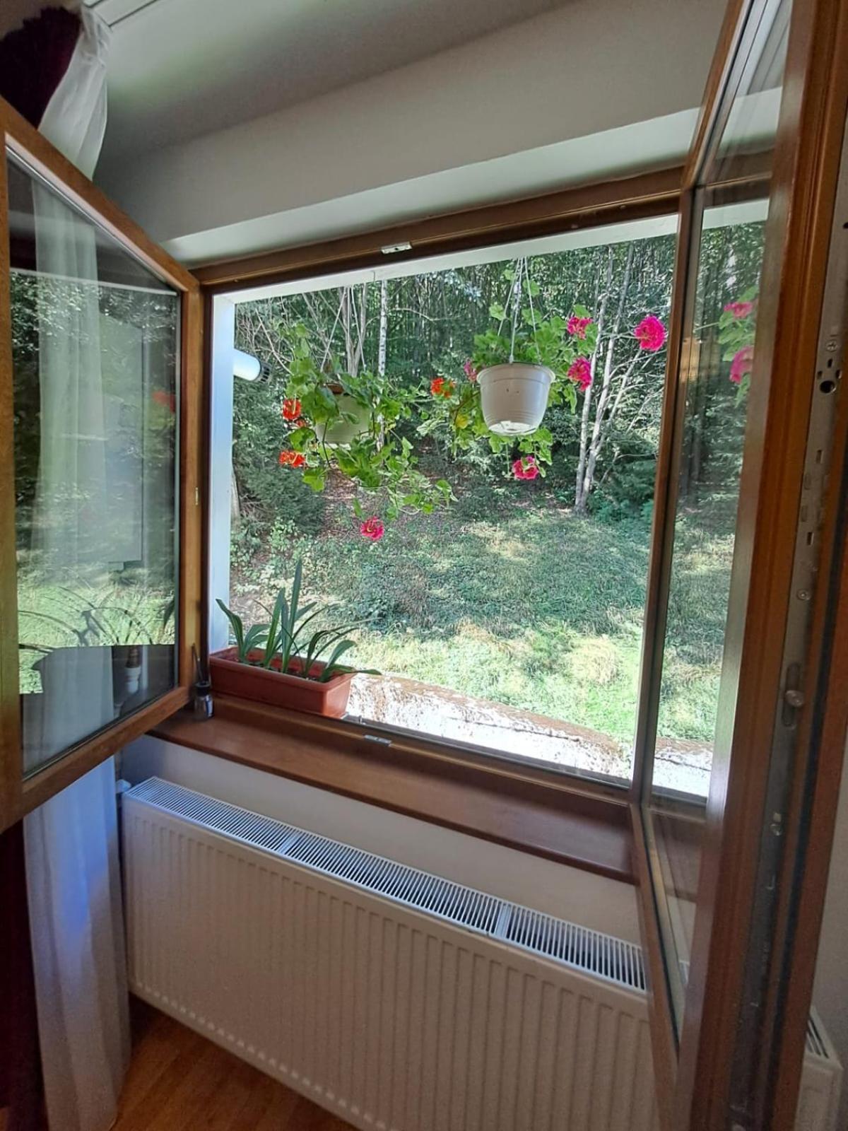 Garsoniera Flori - Sinaia Appartement Buitenkant foto